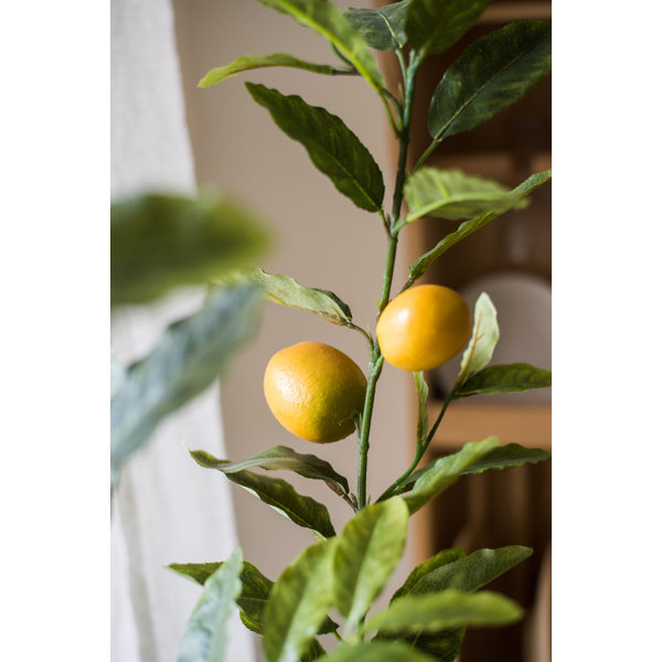 Gracie Oaks Faux Lemon Tree Wayfair